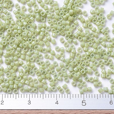 MIYUKI Delica Beads X-SEED-J020-DB2123-1