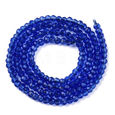 Glass Beads Strands EGLA-T021-01C-1