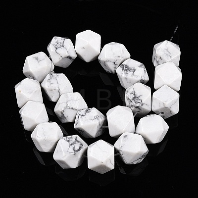 Natural Howlite Beads Strands G-T138-35-1