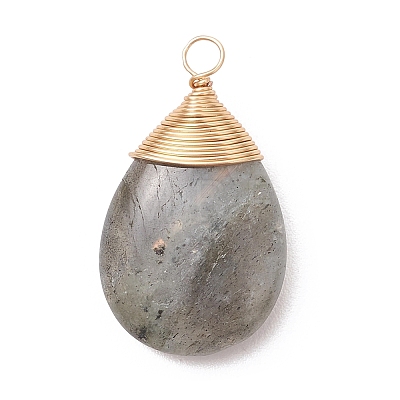 Natural Labradorite Pendants PALLOY-JF05086-02-1