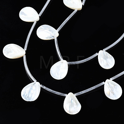 Natural Freshwater Shell Beads Strands SHEL-N026-153A-01-1