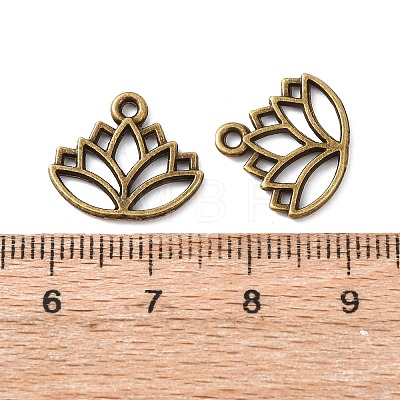 Tibetan Style Alloy Charms TIBE-Q075-50AB-LF-1
