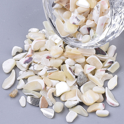 Sea Shell Beads SSHEL-S258-70-1