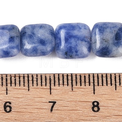 Natural Blue Spot Jasper Beads Strands G-M435-A03-01-1