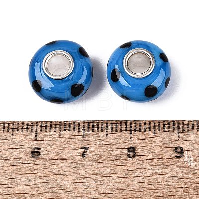 Handmade Lampwork & Brass Core European Beads LAMP-N044-02S-02-1