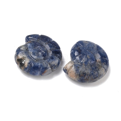 Natural Sodalite Conch Display Decorations DJEW-D303-01L-1