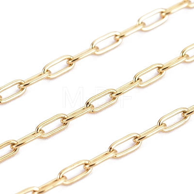 3.28 Feet Ion Plating(IP) 304 Stainless Steel Paperclip Chains X-CHS-F010-01A-G-01-1