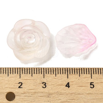 Transparent Acrylic Beads OACR-H039-04D-1