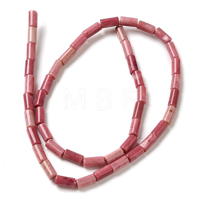 Natural Rhodonite Beads Strands G-B091-A07-01-1