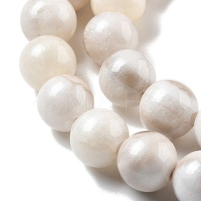 Natural Persian Jade Beads Strands X-G-A255-A02-02K-1