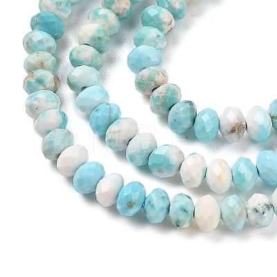 Natural Howlite Beads Strands G-H025-03D-09-1