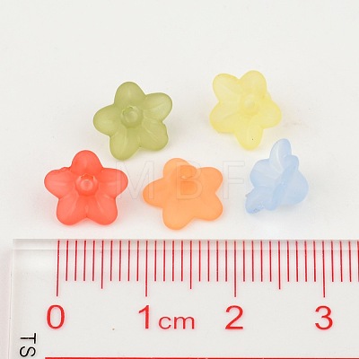 Mixed Color Frosted Transparent Acrylic Flower Beads X-M-PL554-1