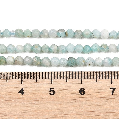 Natural Amazonite Bead Strands G-P279-42-3mm-1