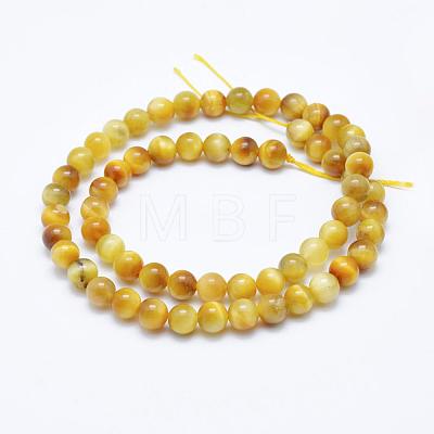 Natural Gold Tiger Eye Beads Strands G-K203-84-6mm-1