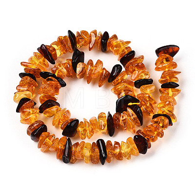 Natural Amber Beads Strands G-T138-235E-1