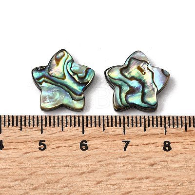 Natural Abalone Shell/Paua Shell Beads SHEL-B003-06-1