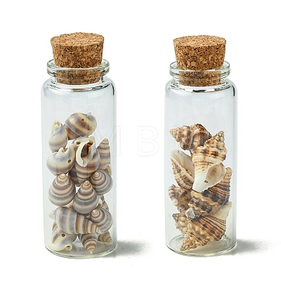 2Pcs Transparent Glass Wishing Bottle Decoration PALLOY-JF03372-1