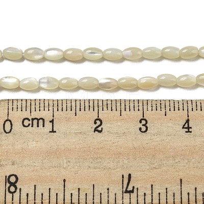 Natural Trochus Shell Beads Strands SSHEL-H072-02B-1