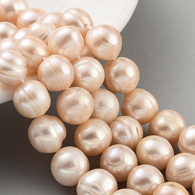 Natural Cultured Freshwater Pearl Beads Strands PEAR-C003-21D-1