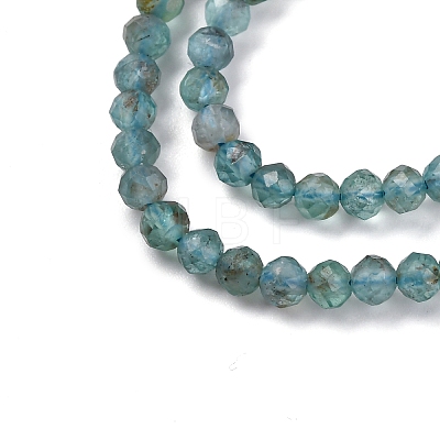 Natural Apatite Beads Strands G-F748-J01-02A-1