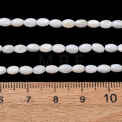 Natural Freshwater Shell Beads Strands SH-CBA2978-06A-1