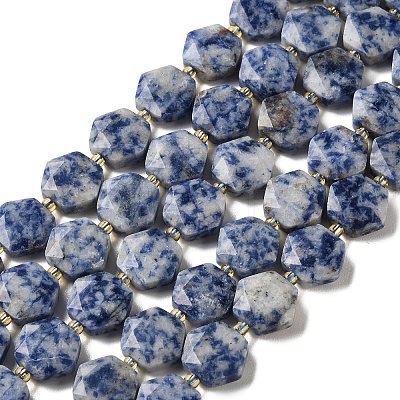 Natural Blue Spot Jasper Beads Strands G-H344-B02-01-1