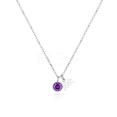 Stainless Steel Pace Purple Cubic Zirconia Birthstone Zodiac Aquarius Pendant Necklaces for Women ZA6688-4-1