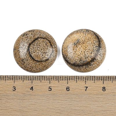 Natural Picture Jasper Cabochons G-H1596-FR-25mm-17-1