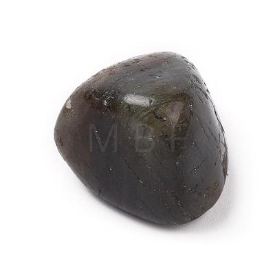 Natural Labradorite Beads G-K302-A09-1