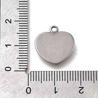 304 Stainless Steel Pendants STAS-C119-07P-1