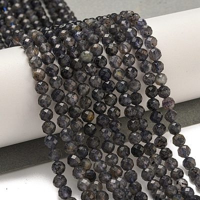 Natural Iolite Beads Strands G-A097-A14-09A-1