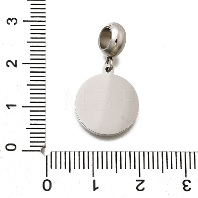 Jewelry 304 Stainless Steel European Dangle Charms OPDL-L013-40B-1