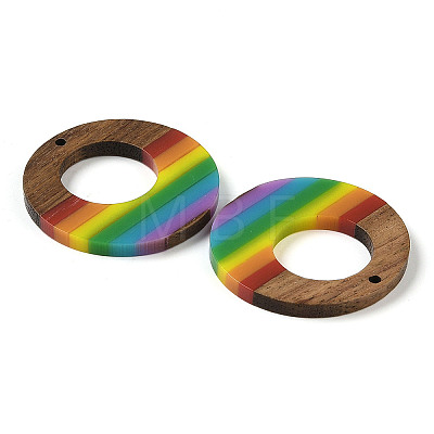 Pride Rainbow Theme Resin & Walnut Wood Pendants WOOD-K012-04-1