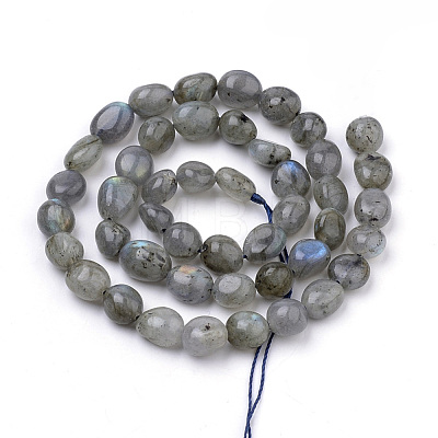 Natural Labradorite Beads Strands G-Q952-12-6x8-1
