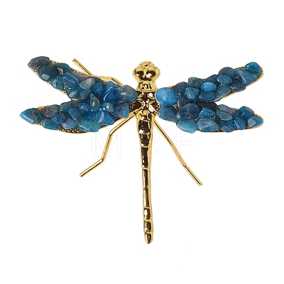 Natural Apatite Dragonfly Display Decorations PW-WGD9E25-15-1