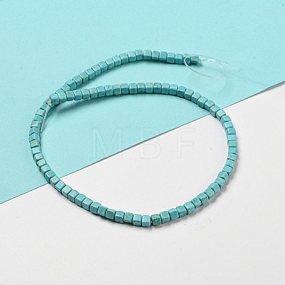 Dyed Synthetic Turquoise Beads Strands G-G075-B02-03-1