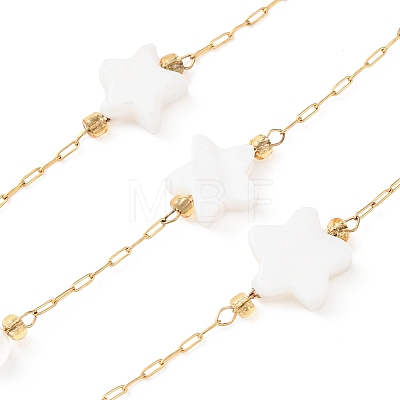 304 Stainless Steel & Natural Shell Star & Round Bead Cable Chains CHS-G048-10G-1