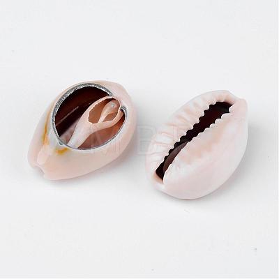 Natural Cowrie Shell Beads X-BSHE-S053-1