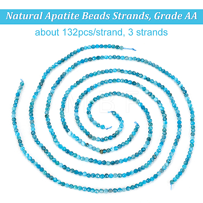 Olycraft 3 Strands Natural Apatite Beads Strands G-OC0004-69-1