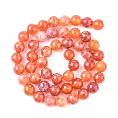 Natural Fire Crackle Agate Beads Strands G-G212-8mm-10-1