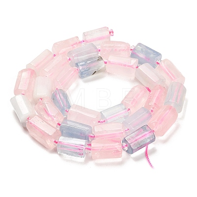 Natural Rose Quartz & Aquamarine Beads Strands G-G068-A27-01-1