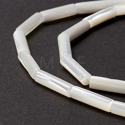 Natural Trochid Shell/Trochus Shell Beads SSHEL-O001-26B-1