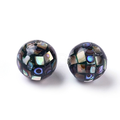 Natural Abalone Shell Beads SSHEL-E437-1-1
