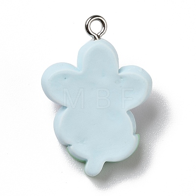 Opaque Resin Pendants X-RESI-D055-082P-1