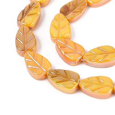 Natural Freshwater Shell Carved Beads Strands SHEL-N038-25F-1