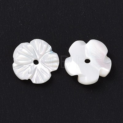 Natural Trochid Shell/Trochus Shell Beads SHEL-P014-02A-1