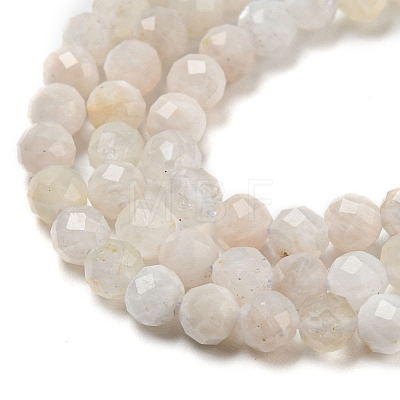 Natural Rainbow Moonstone Beads Strands G-A097-A02-04-1