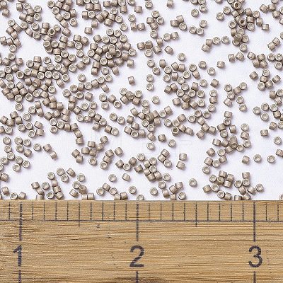 MIYUKI Delica Beads X-SEED-J020-DB1162-1