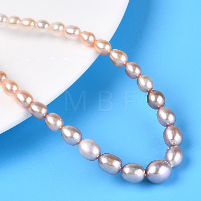 Natural Cultured Freshwater Pearl Beads Strands PEAR-K003-21D-1