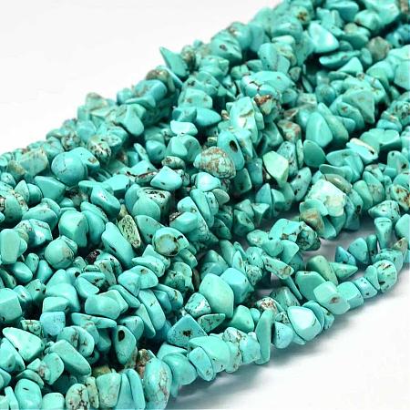 Dyed Natural Magnesite Chips Beads Strands G-L454-06-1